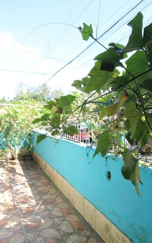 Casa à venda com 210m², 4 quartos e 1 vagaQuintal