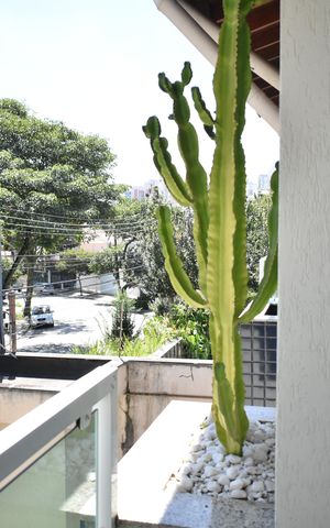 Casa à venda com 400m², 4 quartos e 6 vagasSuíte 2