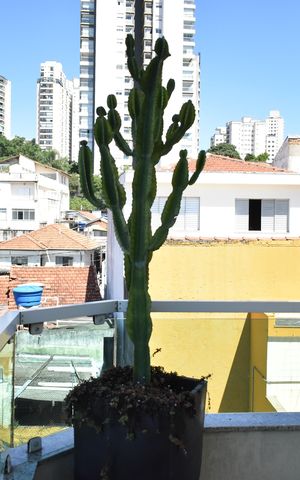 Casa à venda com 400m², 4 quartos e 6 vagasQuarto 2