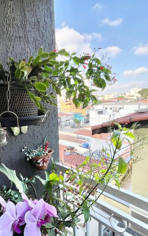 Casa à venda com 480m², 5 quartos e 5 vagas Casa à venda com 480m², 5 quartos e 5 vagasQuarto 3 - Suíte Varanda