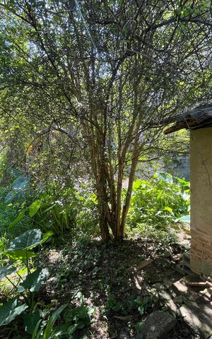 Casa à venda com 800m², 2 quartos e 5 vagas Casa à venda com 800m², 2 quartos e 5 vagasÁrea externa