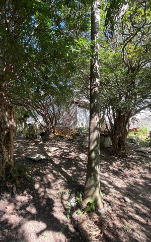 Casa à venda com 800m², 2 quartos e 5 vagas Casa à venda com 800m², 2 quartos e 5 vagasÁrea externa
