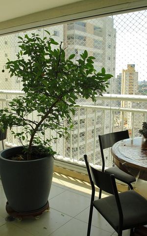 Apartamento à venda com 155m², 3 quartos e 3 vagasVaranda Gourmet da Sala
