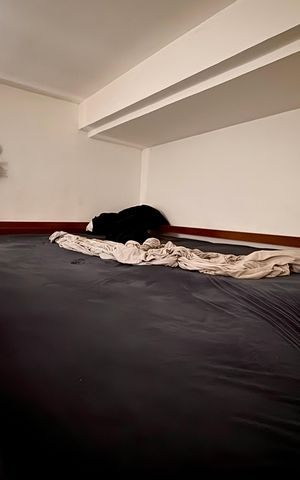 Apartamento à venda com 38m², 1 quarto e sem vaga