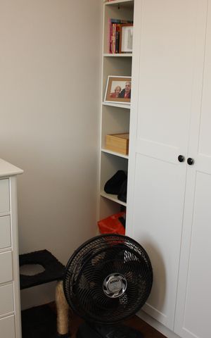Apartamento à venda com 52m², 2 quartos e 1 vagaQuarto 2