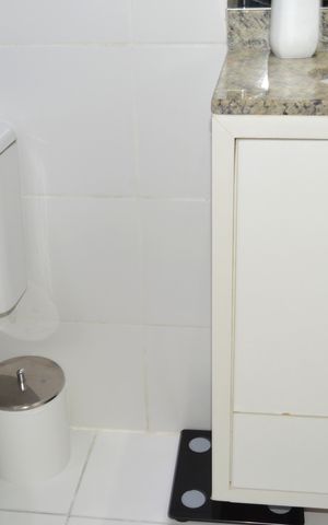 Apartamento à venda com 47m², 2 quartos e 1 vagaBanheiro
