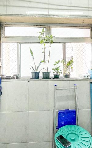 Apartamento à venda com 58m², 2 quartos e 1 vaga Apartamento à venda com 58m², 2 quartos e 1 vagaÁrea de Serviço