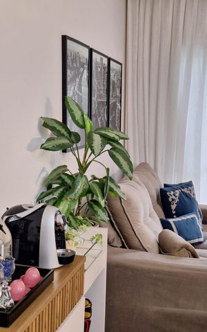 Apartamento à venda com 71m², 3 quartos e 2 vagas Apartamento à venda com 71m², 3 quartos e 2 vagasSala