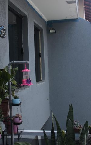 Casa para alugar com 250m², 3 quartos e 8 vagasFachada interna 