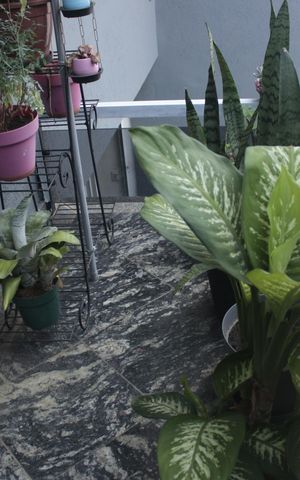 Casa para alugar com 250m², 3 quartos e 8 vagasFachada interna 