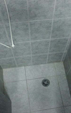 Casa para alugar com 250m², 3 quartos e 8 vagasBanheiro social 