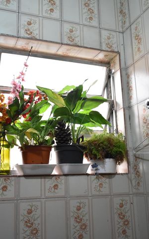 Casa à venda com 250m², 4 quartos e 3 vagasBanheiro Social