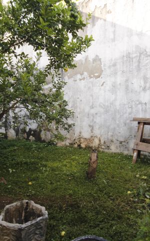 Casa à venda com 360m², 8 quartos e 2 vagasjardim