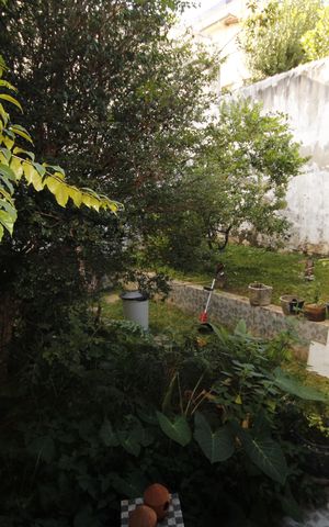Casa à venda com 360m², 8 quartos e 2 vagasQuintal