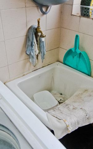 Apartamento para alugar com 67m², 3 quartos e 1 vaga Apartamento para alugar com 67m², 3 quartos e 1 vagaÁrea de Serviço