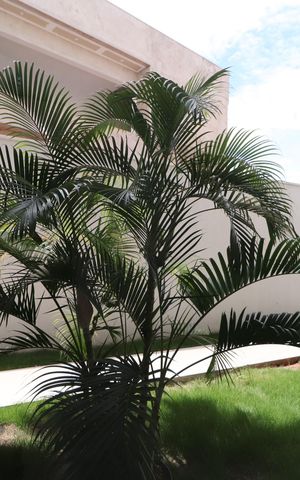 Casa de condomínio para alugar com 312m², 3 quartos e 4 vagasJardim