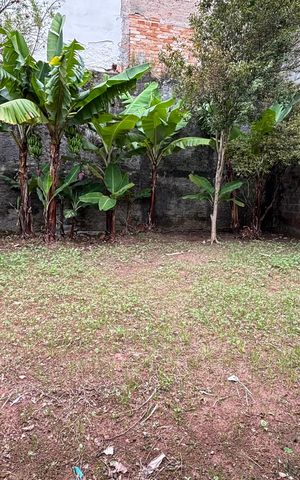 Casa à venda com 300m², 4 quartos e 5 vagas