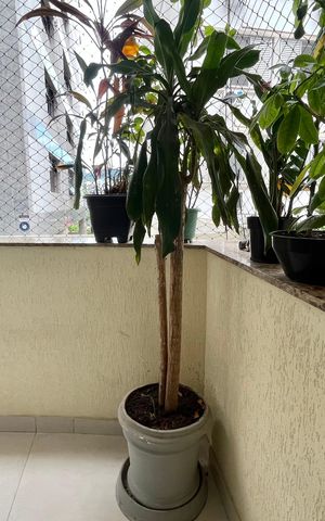 Apartamento para alugar com 45m², 1 quarto e 1 vaga Apartamento para alugar com 45m², 1 quarto e 1 vagaVaranda