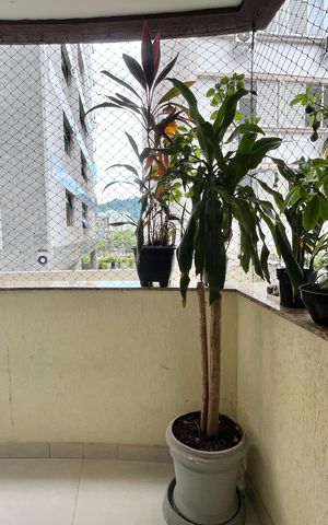 Apartamento para alugar com 45m², 1 quarto e 1 vaga Apartamento para alugar com 45m², 1 quarto e 1 vagaVaranda