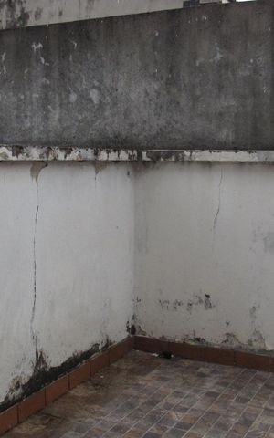 Casa para alugar com 270m², 4 quartos e 3 vagasVaranda