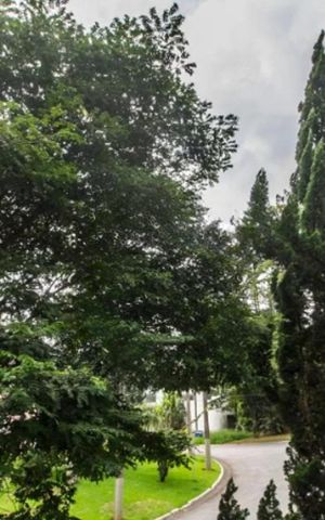 Casa de condomínio à venda com 488m², 4 quartos e 4 vagasÁrea externa