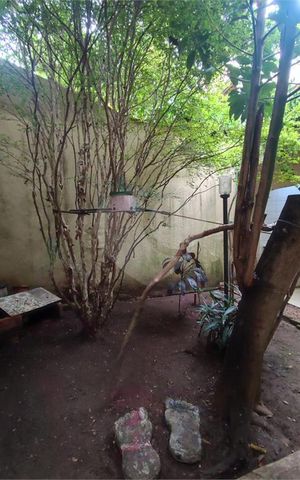 Casa à venda com 144m², 3 quartos e 1 vaga