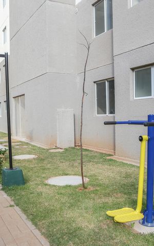 Apartamento à venda com 44m², 2 quartos e sem vaga Apartamento à venda com 44m², 2 quartos e sem vagaÁrea comum - Academia