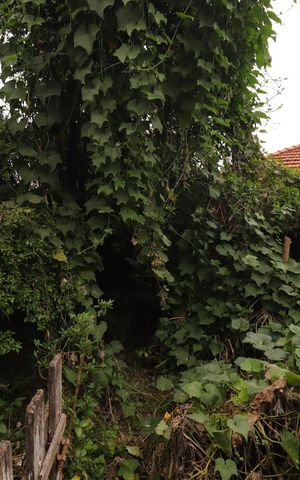Casa à venda com 391m², 4 quartos e 3 vagasJardim