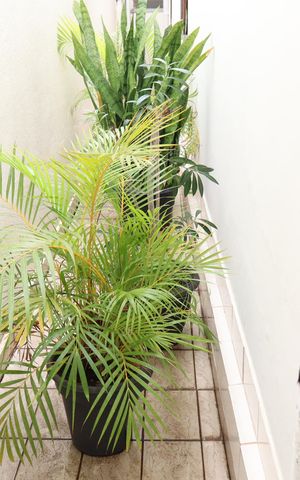 Casa à venda com 162m², 3 quartos e 4 vagasCorredor externo