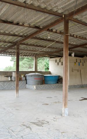 Casa para alugar com 70m², 3 quartos e sem vaga Casa para alugar com 70m², 3 quartos e sem vagaTerraço