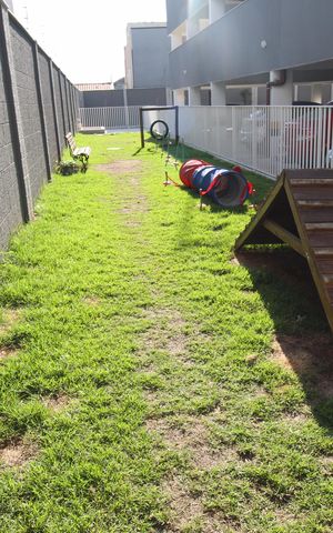 Apartamento para alugar com 104m², 2 quartos e 2 vagasÁrea comum - Espaço Pet