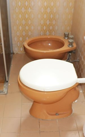Apartamento à venda com 55m², 2 quartos e 1 vagaBanheiro