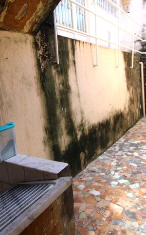 Casa à venda com 110m², 4 quartos e 3 vagasÁrea de Serviço