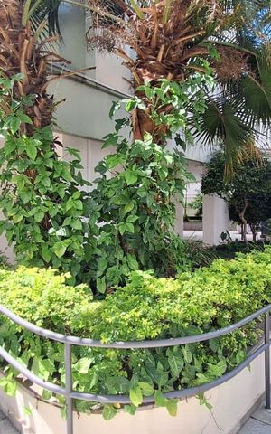 Apartamento à venda com 94m², 2 quartos e 1 vaga Apartamento à venda com 94m², 2 quartos e 1 vagaÁrea comum