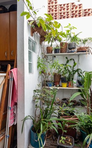Casa à venda com 95m², 3 quartos e sem vagaJardim