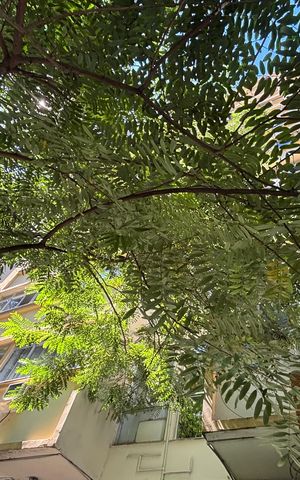 Apartamento à venda com 40m², 1 quarto e sem vagaFachada