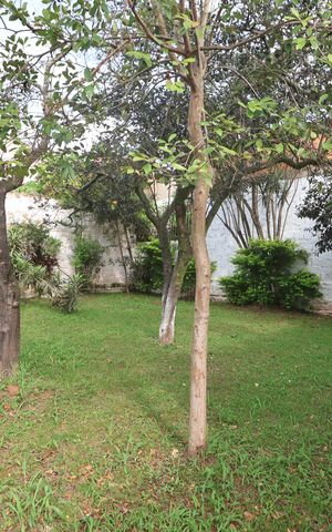 Casa à venda com 137m², 2 quartos e 3 vagasÁrea externa