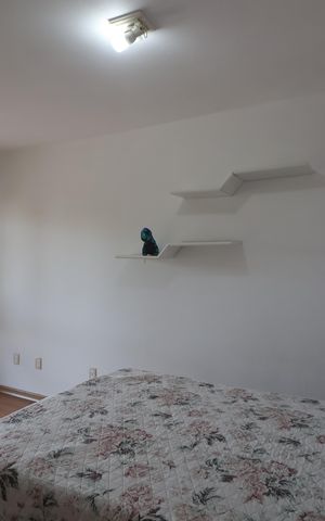 Casa à venda com 200m², 2 quartos e 2 vagasSuíte 2