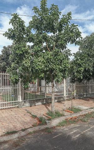 Casa à venda com 303m², 5 quartos e 2 vagasFachada