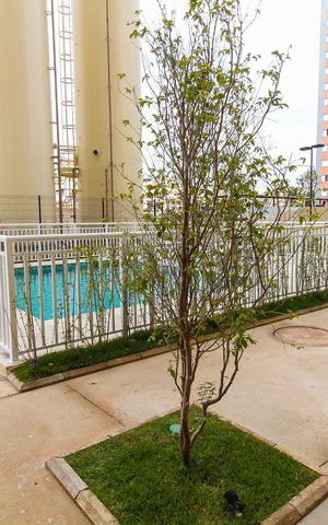Apartamento à venda com 34m², 2 quartos e sem vaga Apartamento à venda com 34m², 2 quartos e sem vagaÁrea Comum