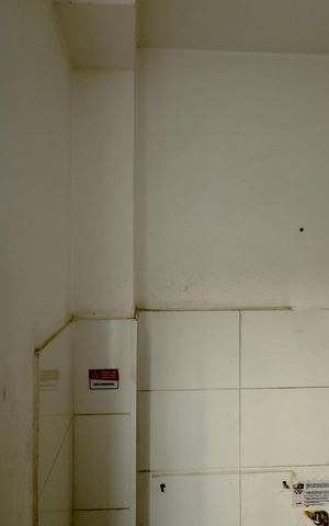 Apartamento para alugar com 47m², 2 quartos e sem vaga Apartamento para alugar com 47m², 2 quartos e sem vagaÁrea de Serviço