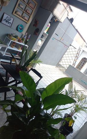 Casa à venda com 664m², 10 quartos e 6 vagas Casa à venda com 664m², 10 quartos e 6 vagasCasa 3