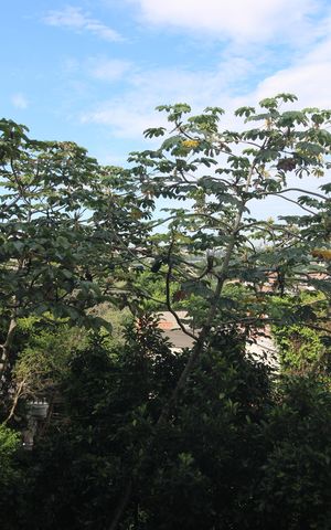 Apartamento à venda com 67m², 2 quartos e 1 vagaSala - Varanda