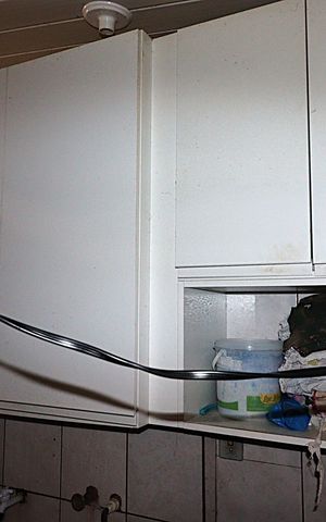 Casa de condomínio à venda com 86m², 2 quartos e 1 vagaÁrea de Serviço