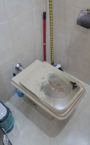 Casa à venda com 244m², 3 quartos e 3 vagasBanheiro da Suite