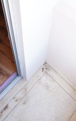 Apartamento à venda com 56m², 3 quartos e 1 vagaSacada