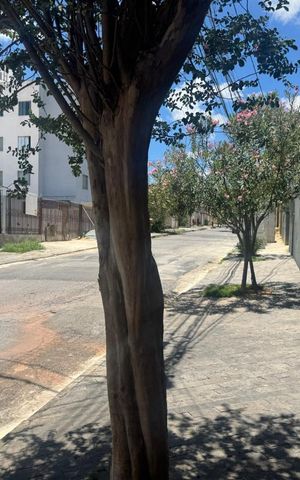 Studio para alugar com 20m², 1 quarto e sem vaga