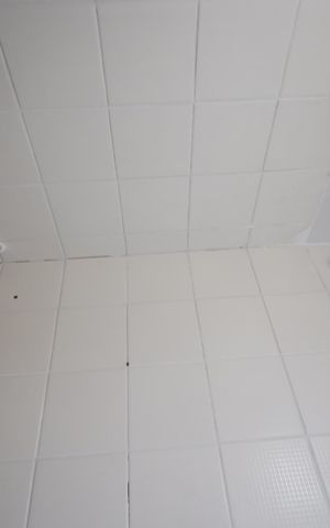 Apartamento à venda com 68m², 3 quartos e 1 vagaBanheiro Social / Banheira