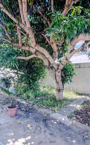 Casa à venda com 320m², 5 quartos e 6 vagasÁrea externa