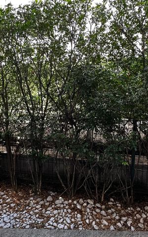 Apartamento à venda com 115m², 2 quartos e 1 vaga Apartamento à venda com 115m², 2 quartos e 1 vagaVaranda